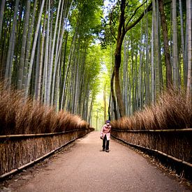 Bamboo forest  von Maaike Van Den Meersschaut