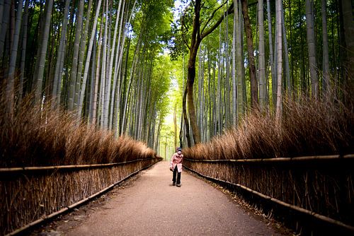 Bamboo forest  van Maaike Van Den Meersschaut