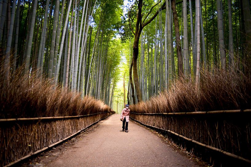 Bamboo forest  von Maaike Van Den Meersschaut