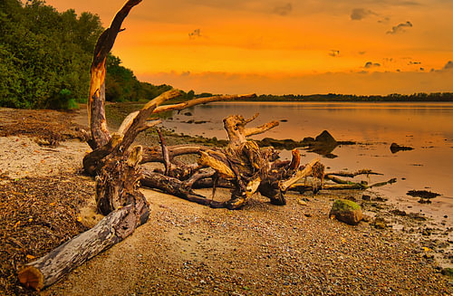 An orange dawn over Wismar Bay