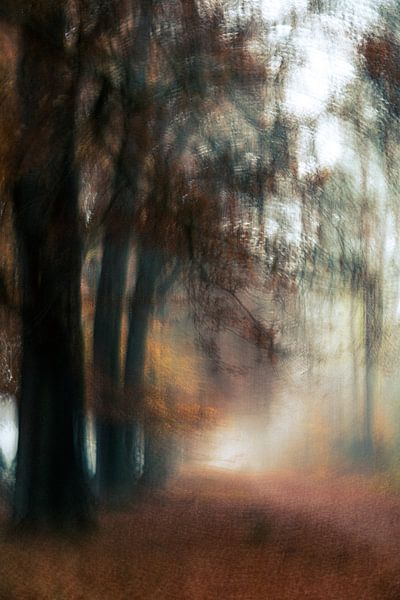 Planken Wambuis Teil 166 von Tania Perneel