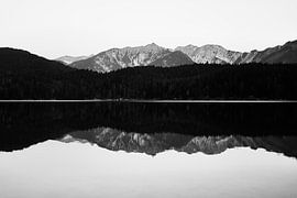 Lac miroir sur T. Lenaerts