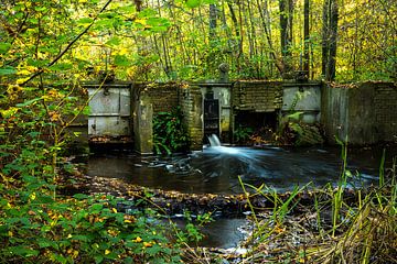 Water work in Waterloop forest by Martien Hoogebeen Fotografie