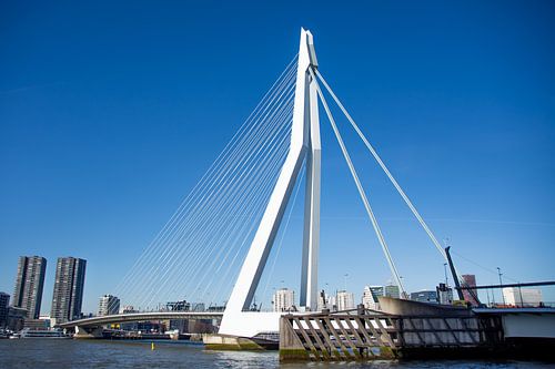 Rottterdam Erasmusbrug