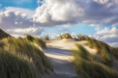Terschelling Beach and dunes Midsland by the sea