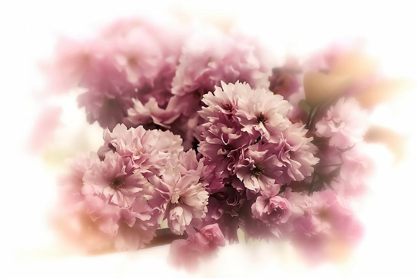 Kersenbloesem Romantisch Oud Roze Vintage van Marlika Art