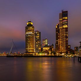 Kop van Zuid van Mark Regelink