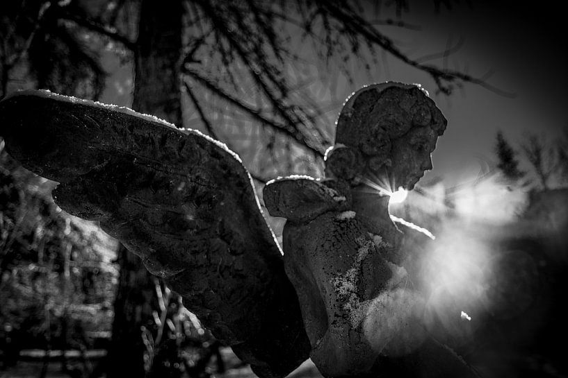Angel by Frans Scherpenisse