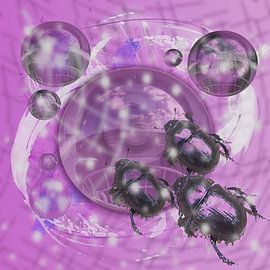 Torren by Ans van der Heide