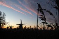 Drie molens Driemanspolder