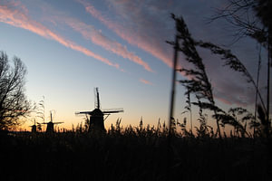 Drie molens Driemanspolder
