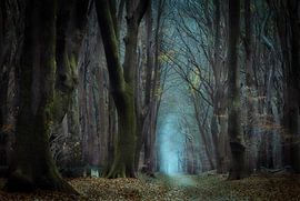 Oui, c'était un lundi bleu.