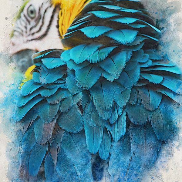 Ara by Bert Quaedvlieg