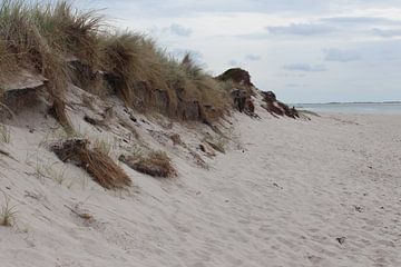 Hörnum-Odde mit Dünen auf Sylt mit Blick auf Föhr