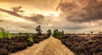 Long road ahead