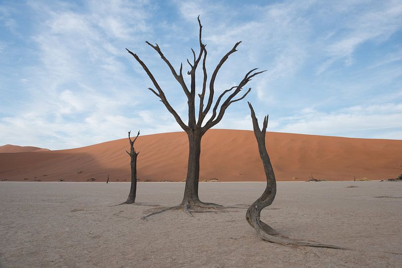 Bomen in Deadvlei, onder wolkenlucht van Felix Sedney