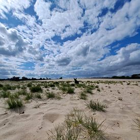 Marleen Majoor Profilfoto