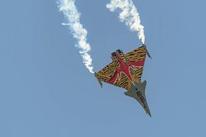Rafale Solo Display Team 2014.