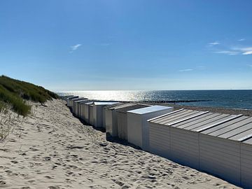 Dunes and beach cabins in Oostkapelle
