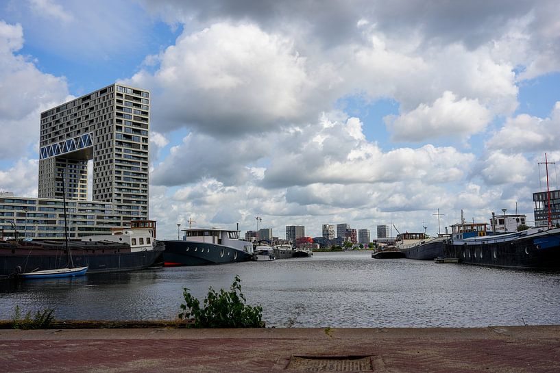 View from Old Timber Harbour by Tessa Poll