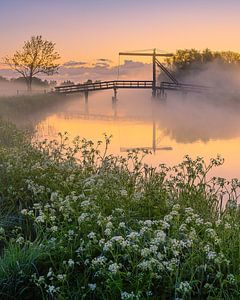 Sonnenaufgang am Schildjer Tilbat, De Paauwen, Groningen