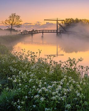 Zonsopkomst bij Schildjer Tilbat, De Paauwen, Groningen van Henk Meijer Photography