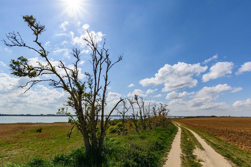 Entlang der Küste bei Glutzow, Insel Rügen von GH Foto & Artdesign