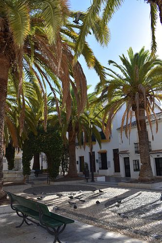 Het dorpsplein op een zomerochtend