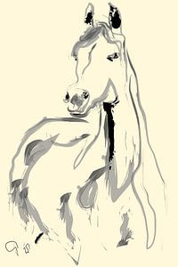 Cheval arabe.