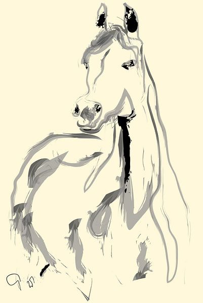 Cheval arabe. par Go van Kampen