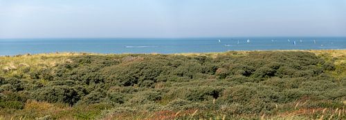 Panorama, uitzicht op Noordzee