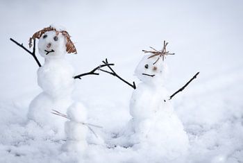 Plaisirs d'hiver : Charmante famille de bonhommes de neige