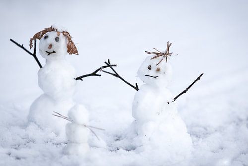 Sneeuwpoppen in winterlandschap