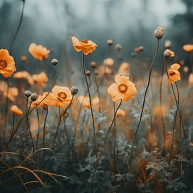 Orange Poppy No 2 by treechild .