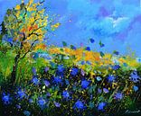 Blauwe zomerbloemen van pol ledent thumbnail