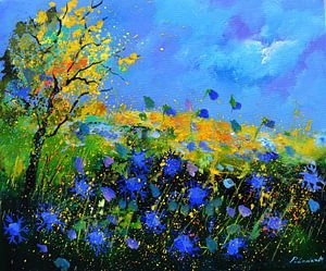 Blaue Sommerblumen
