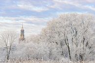 efrorene Bäume mit dem Nieuwe Toren (neuer Aufsatz) in Kampen von Sjoerd van der Wal Fotografie Miniaturansicht