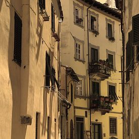 Tuscany Italy Lucca Downtown Old by Hendrik-Jan Kornelis