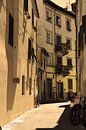 Tuscany Italy Lucca Downtown Old by Hendrik-Jan Kornelis thumbnail