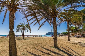 Platja de Tora in Paguera, Strand der Insel Mallorca, Spanien von Alex Winter