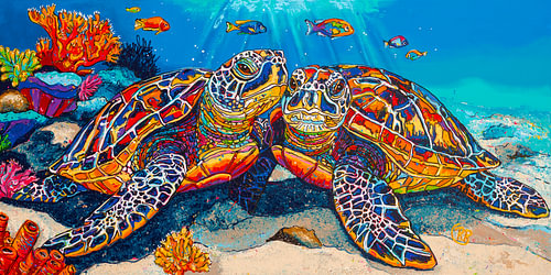 Caribische Verbondenheid: Zeeschildpadden