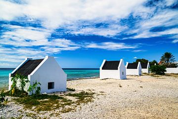 A view of the slave houses on Bonaire by Andreas Völkel