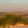 Dünengras beim Sonnenuntergang van Alexander Wolff