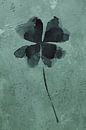 Tough clover four (watercolor painting flowers and plants happiness green cheerful beautiful clover  by Natalie Bruns thumbnail