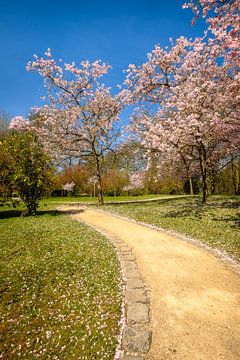 Blossoms in Japanese Garden