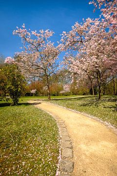 Bloesems in Japanse Tuin van Johan Vanbockryck