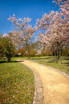 Fleurs dans un jardin japonais sur Johan Vanbockryck