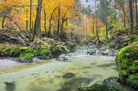 Herfst in Oostenrijk van Johan Kalthof thumbnail
