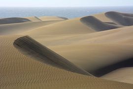 DESERT 16 by Miroslav Ptacek