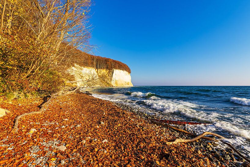 Kreidefelsen im Herbst an der Küste der Ostsee auf der Insel R von Rico Ködder